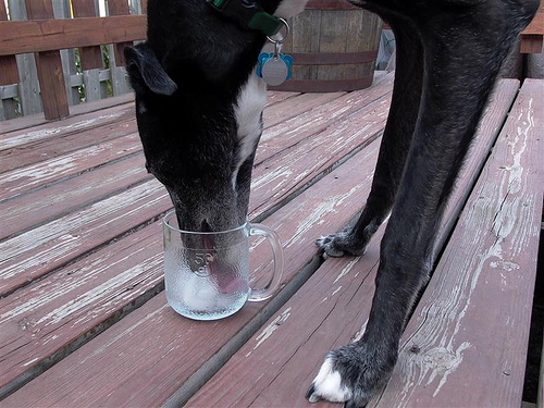 mingusdrink mingusdrink
